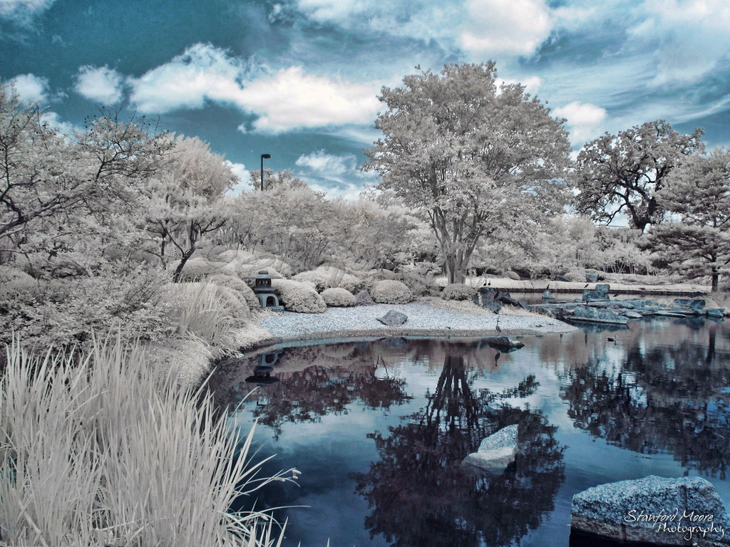 Japanese Tea Garden, Houston Stanford Flickr