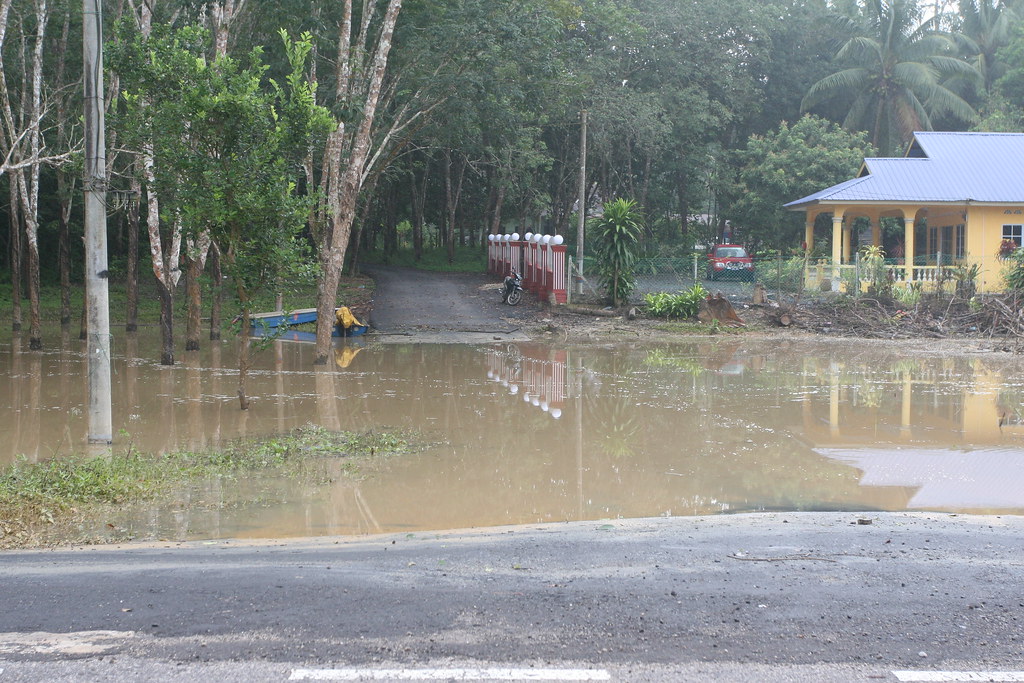 BANJIR IN SEGAMAT DEC2007 (30) buaya puchong Flickr