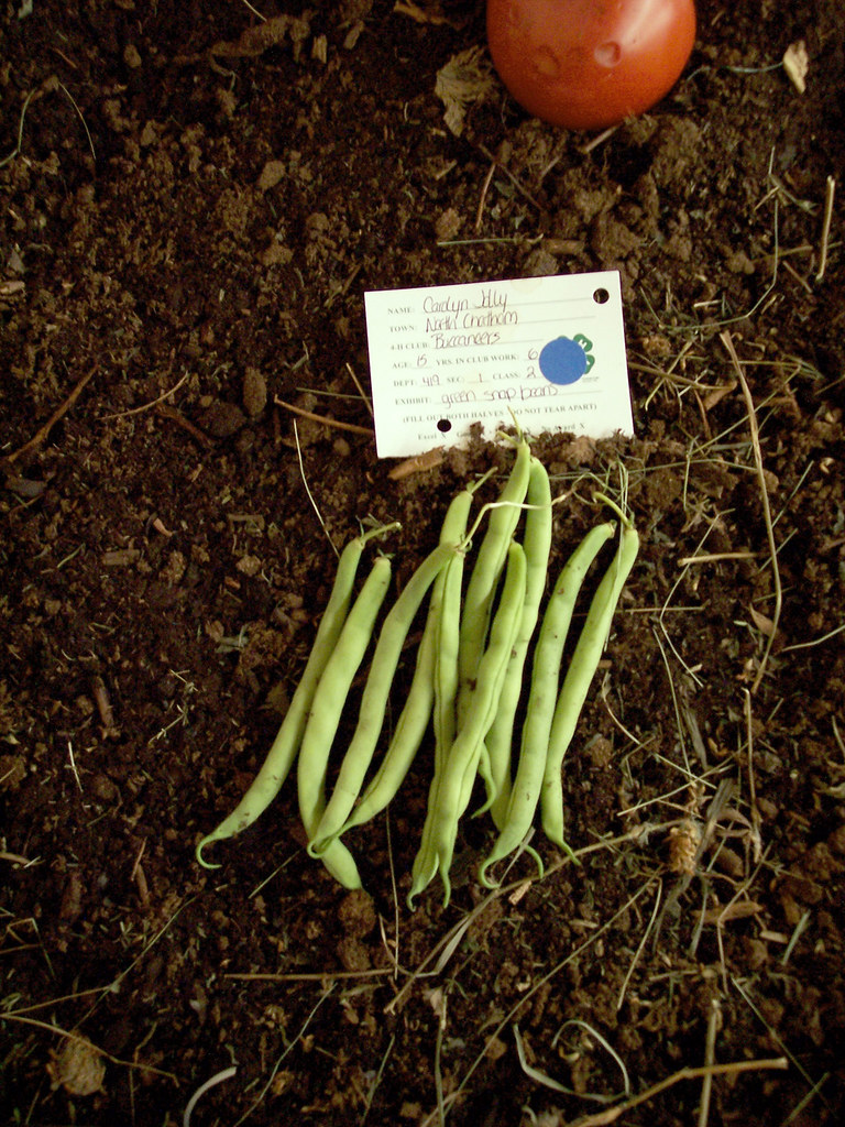 blue ribbon green beans Mike Thomas Flickr