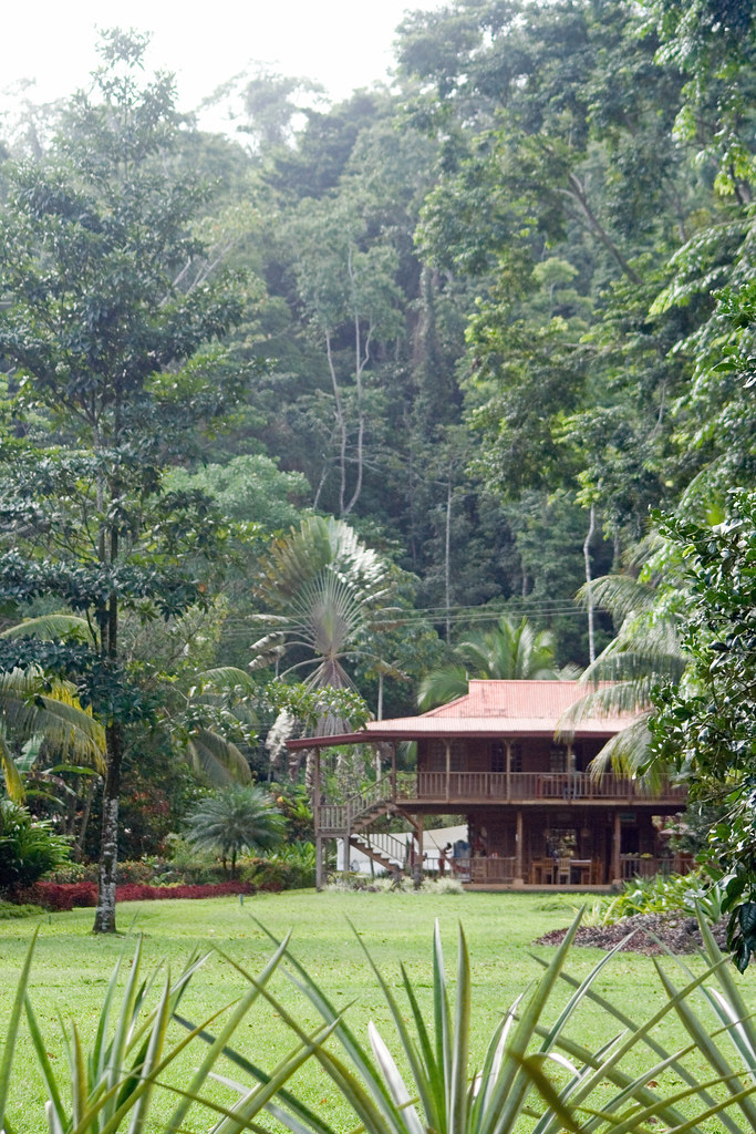 Punta Uva, Costa Rica casa viva in punta uva Flickr