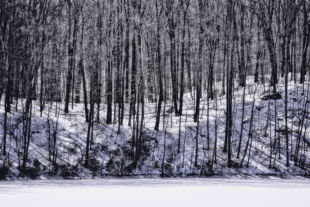 Beaver Dam Quarry Oregon Ridge Park Maryland USA Explored … Flickr