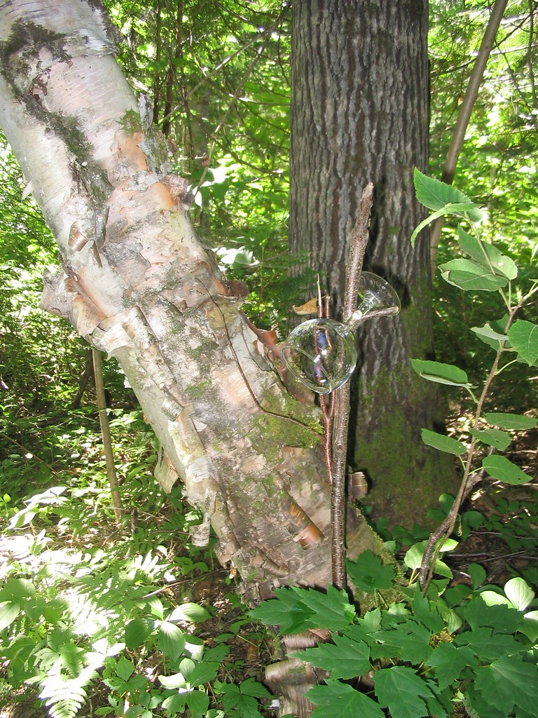 Lac au Saumon, Quebec Nicole Poirier Flickr