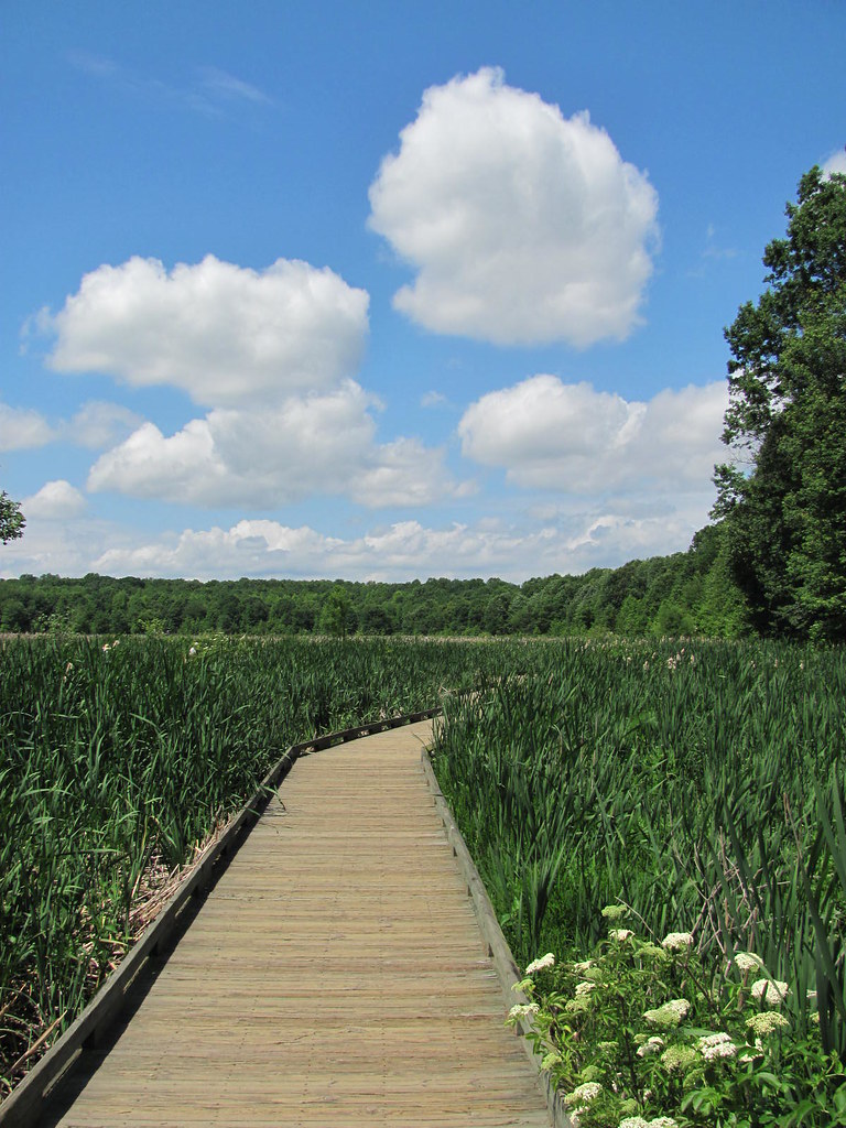 Huntley Meadows Taken at Huntley Meadows in Northern Virgi… geopungo Flickr