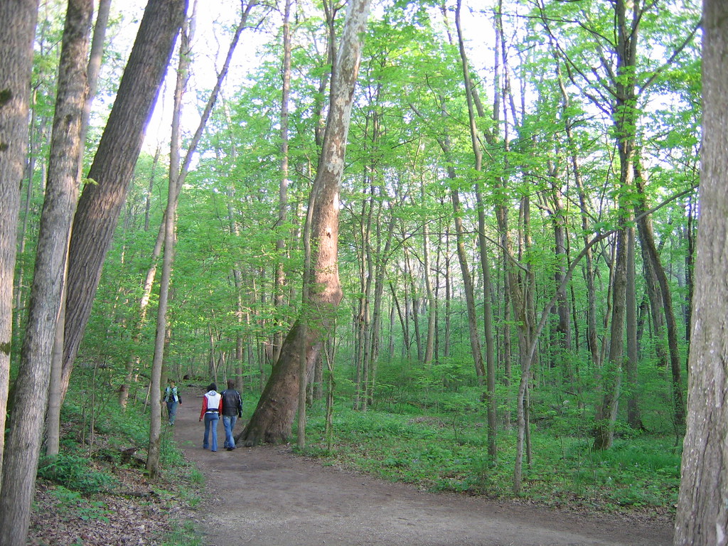 Glen Helen Natural Area Yellow Springs, Ohio a photo on Flickriver