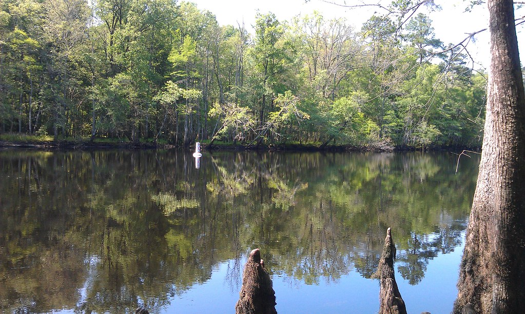 A day by the river, fishing Little Pee Dee River in Aynor,… Flickr