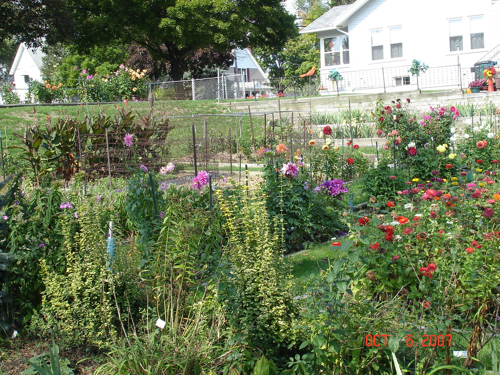 Flowers in Jackson, MI Flickr