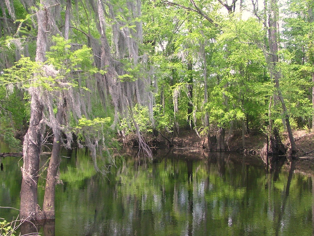 South River (NC) 5/3/08 Flickr