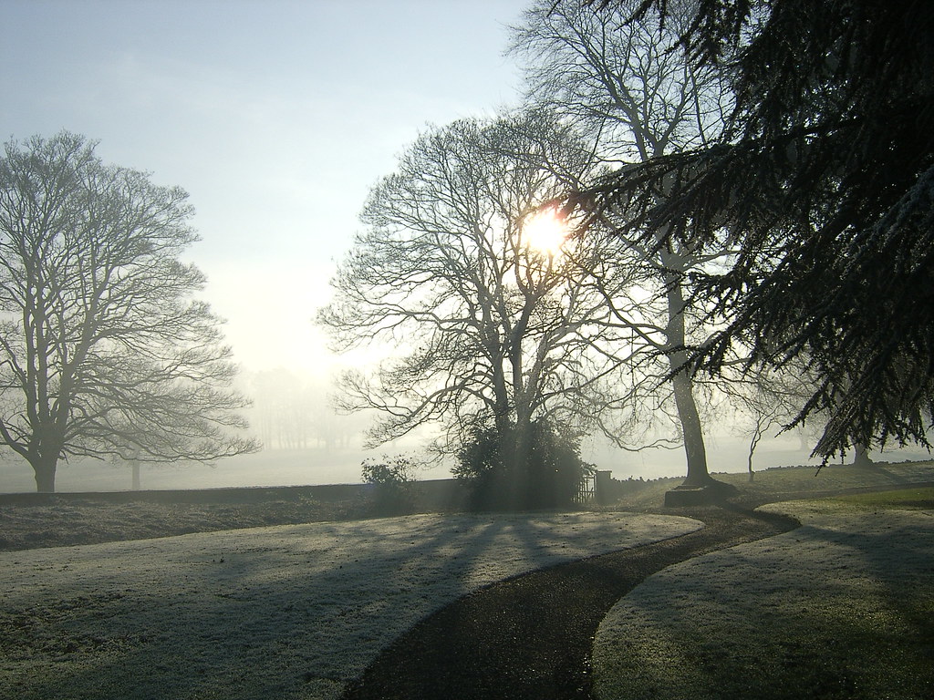 Frost in Trees at Swinton Grange sun and trees with mist a… Flickr