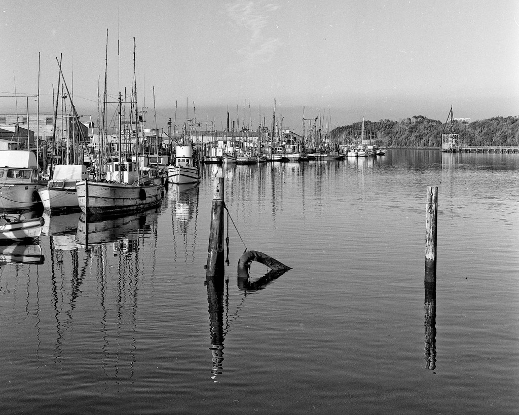 MossLanding 30 Dec 196202 A 1962 view of the old fishin… Flickr