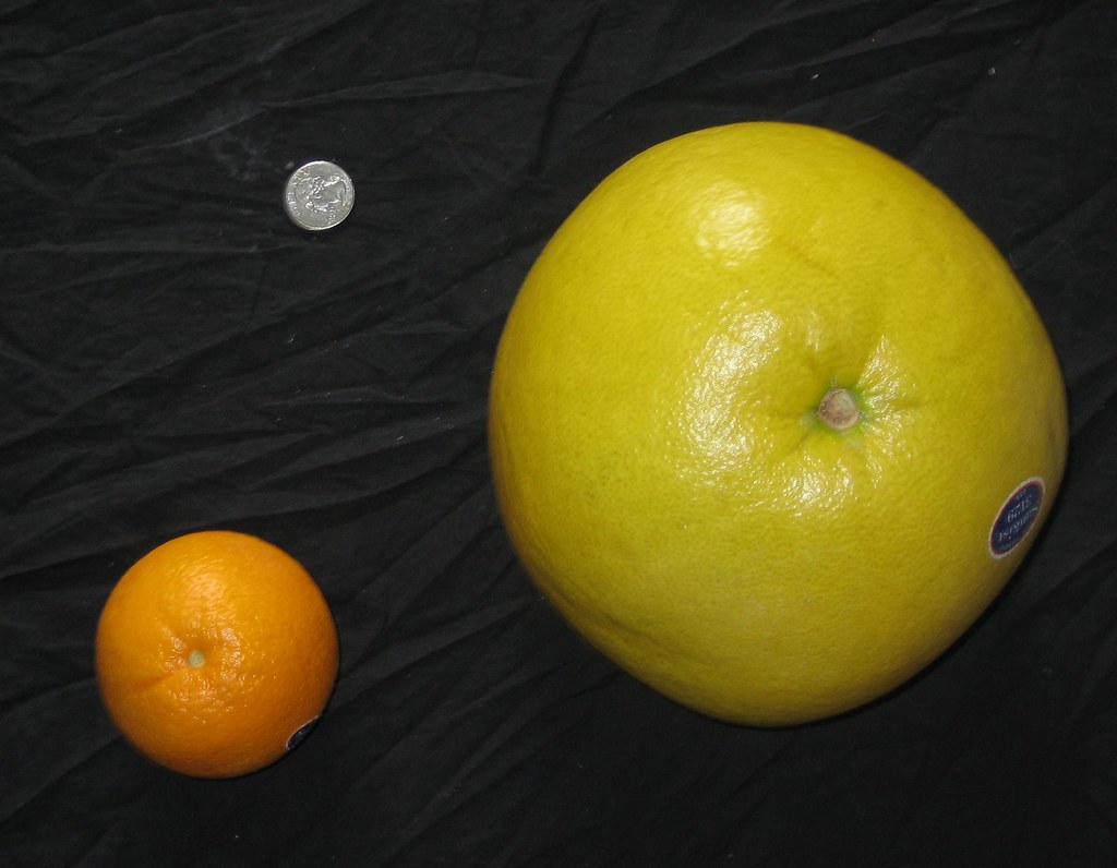 Pomelo vs Orange (1 of 3) Quarter in the upper left for sc… Flickr