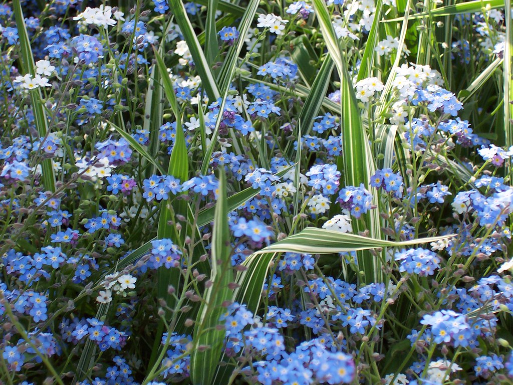 Me Knot Flowers Destin / Me Knot Celebrations Marriage