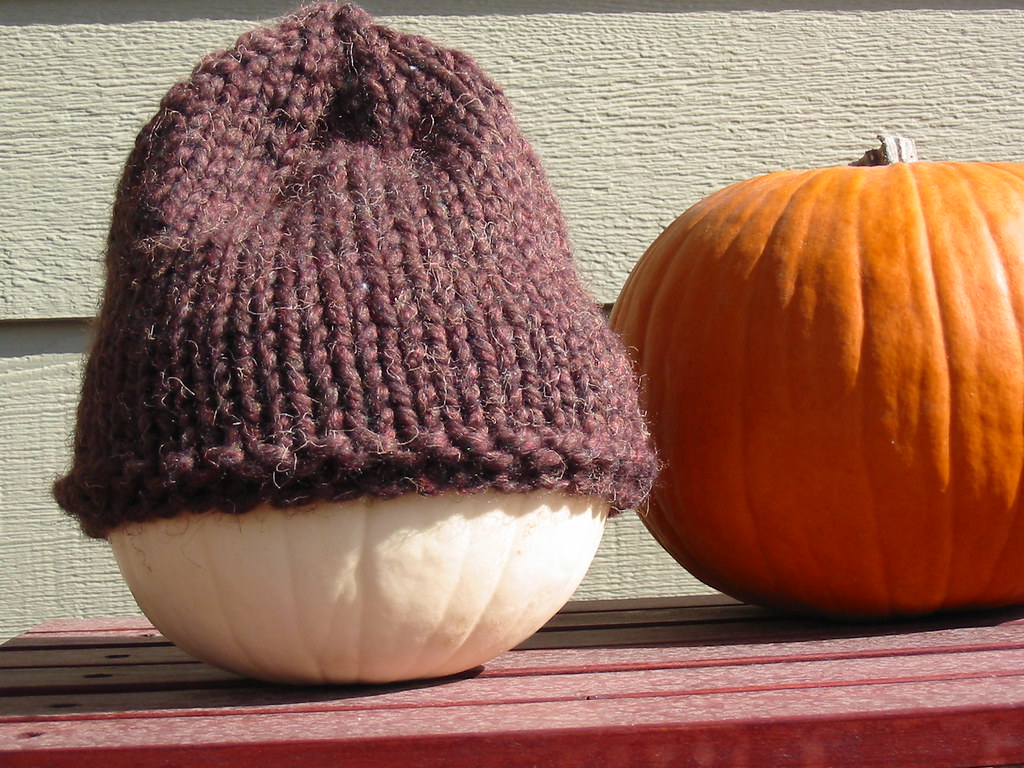 Knitting for the Homeless Hat We meet each Saturday mornin… Flickr