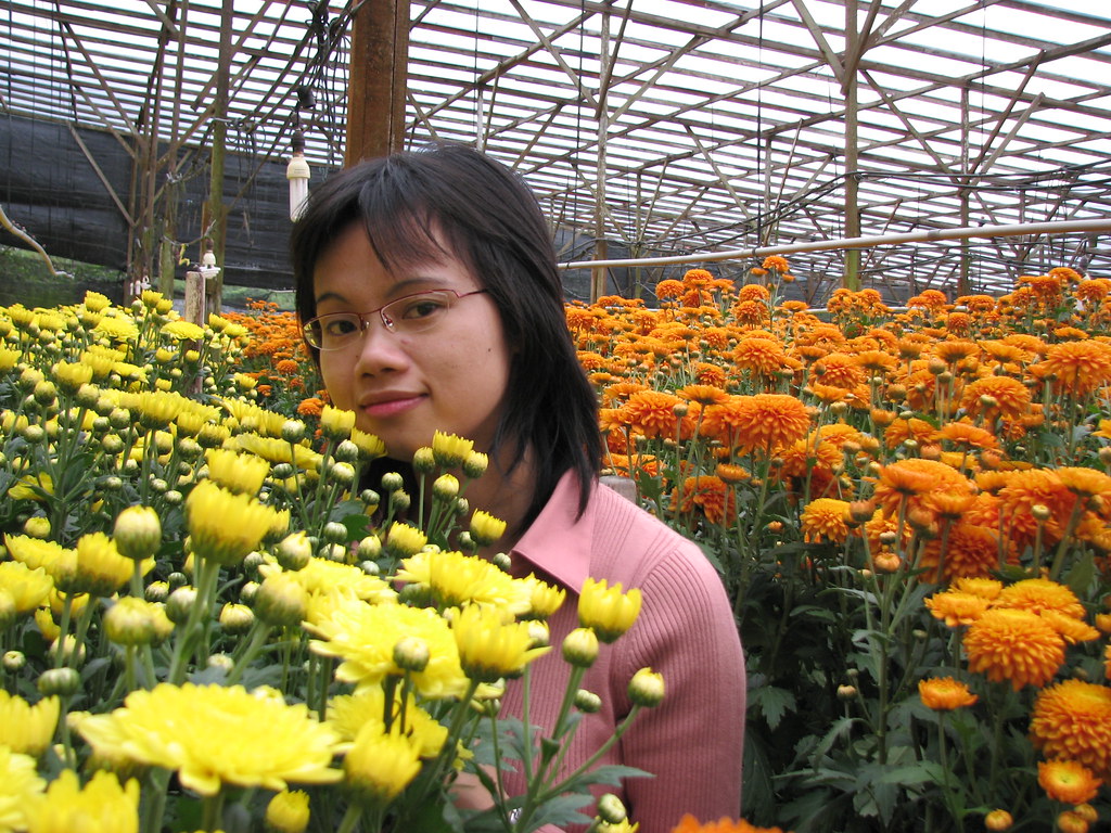 Flower nursery Thanh Dan Flickr