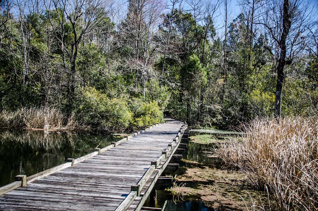 Old Santee Canal Park9 Tom Taylor Flickr
