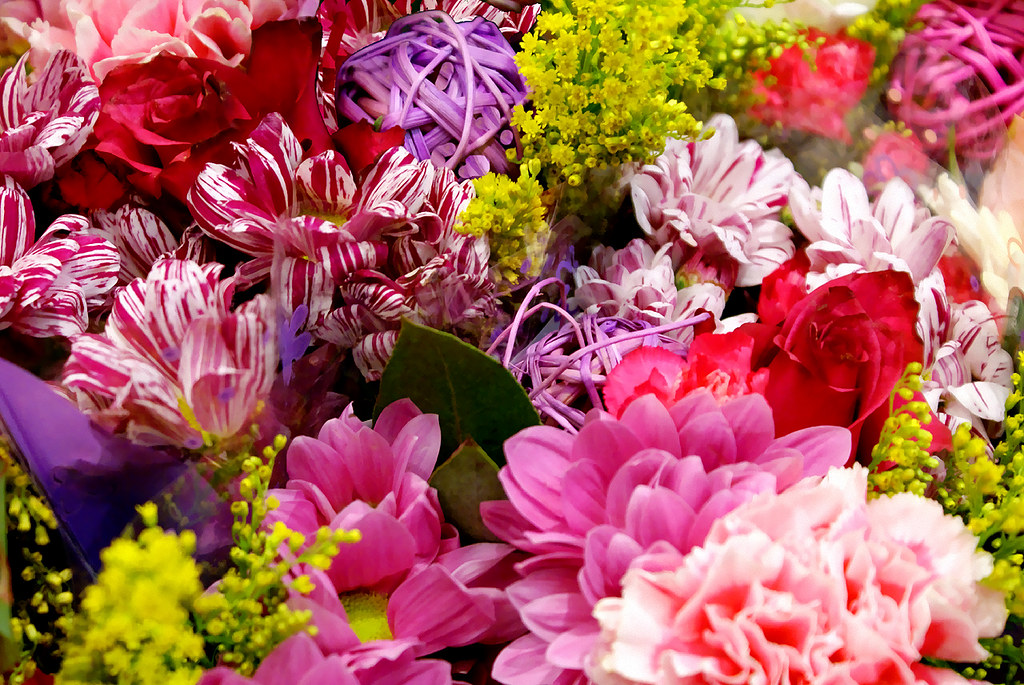 Assorted Flowers a photo on Flickriver