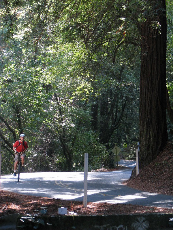 Moraga, Canyon, and Pinehurst Road Bay Area Bike Rides