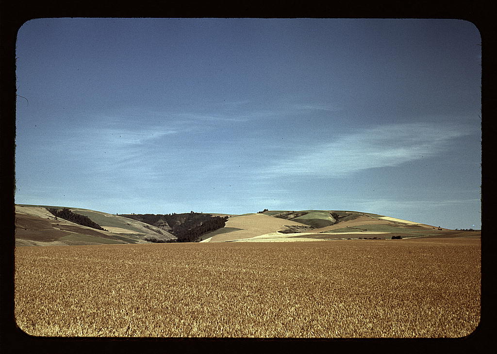 Wheat land, Walla Walla, Washington (LOC) Lee, Russell,, 1… Flickr