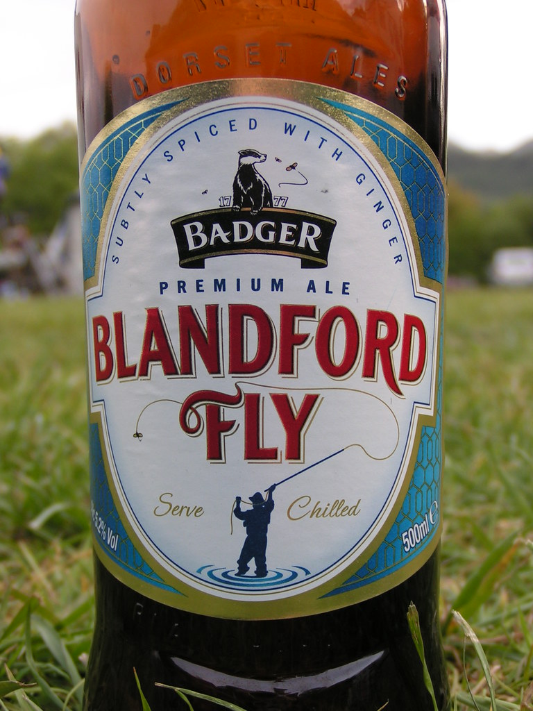 Badger, Blandford Fly, England a photo on Flickriver