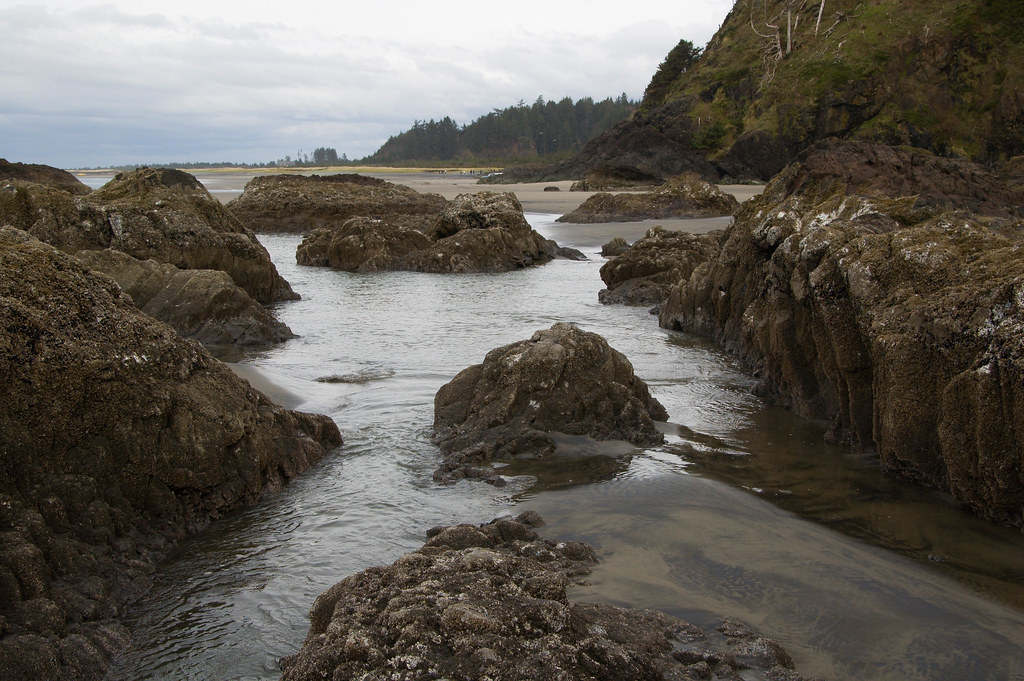 Beards Hollow, Long Beach Peninsula, WA Michael Flickr
