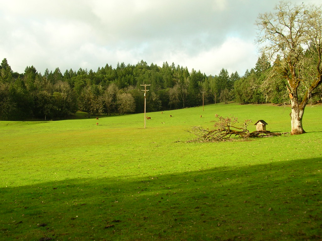 sunny valley near wolf creek, oregon sushiesque Flickr