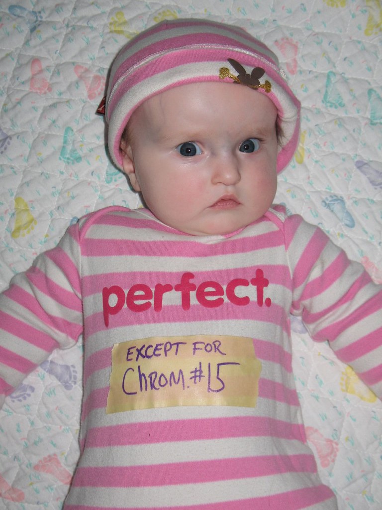 IMG_0790 Almost Perfect This is what Papa does when Mama… Flickr