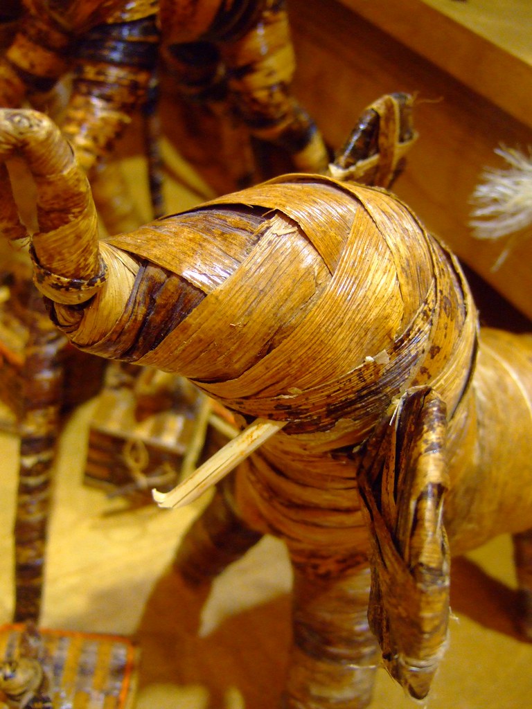 gift shop Smithsonian Museum of Natural History henry p Q Flickr