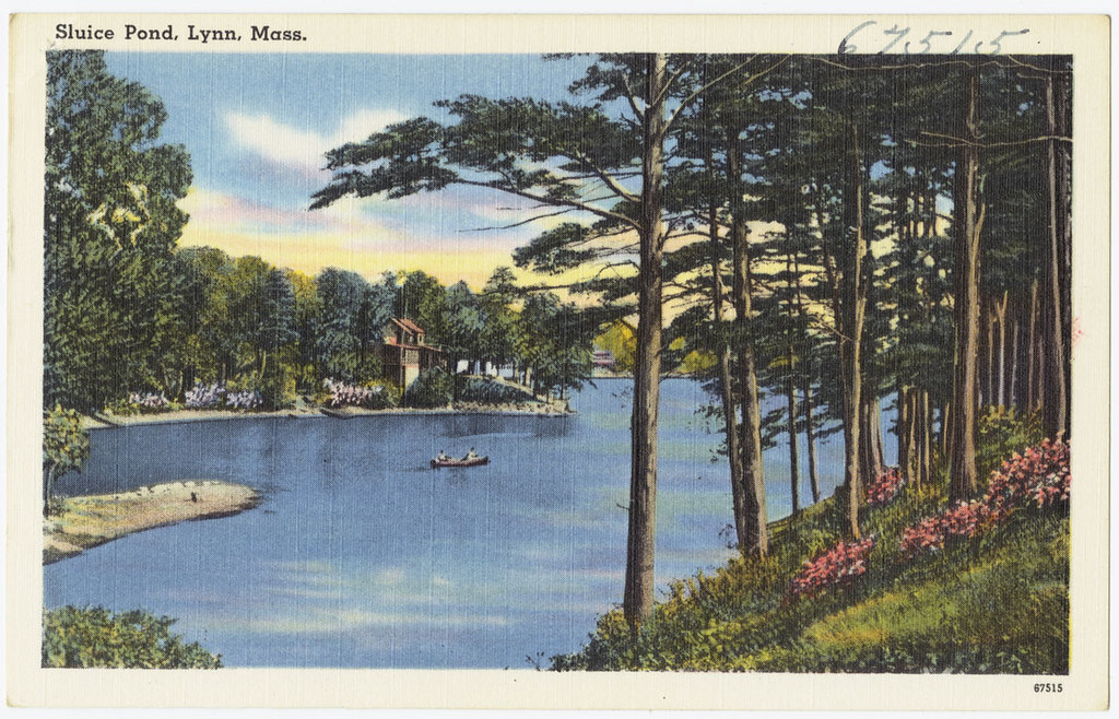 Sluice Pond, Lynn, Mass. File name 06_10_000827 Title Sl… Flickr