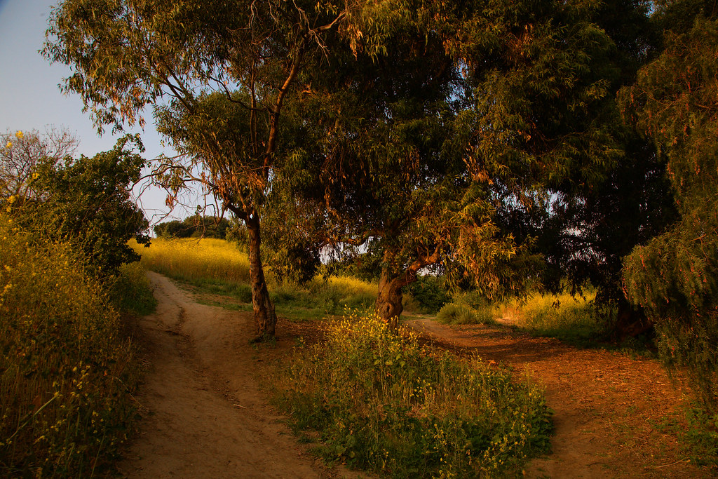 Ernest E. Debs Park, Hermon/Los Angeles, trails at sunset Flickr