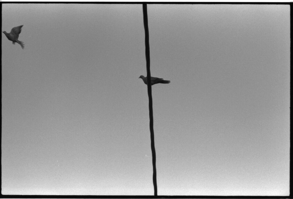 volo pindarico tra l'analogico e il digitale Io ipertrad… Flickr