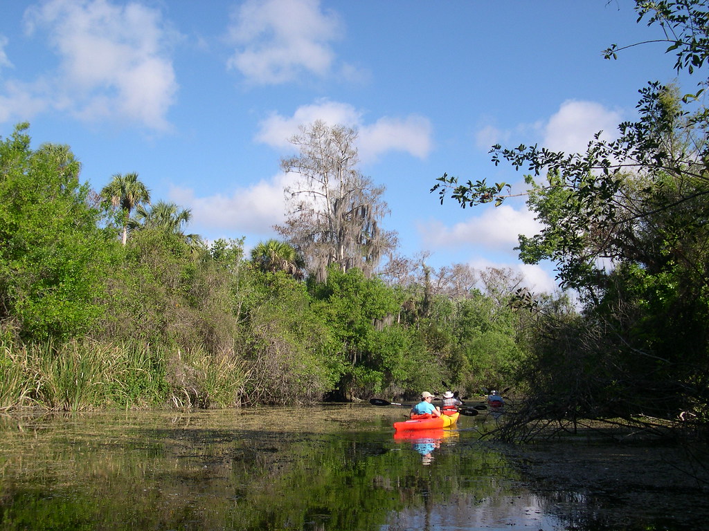 Turner River Taken on Turner river kayak trip Rich Juricich Flickr