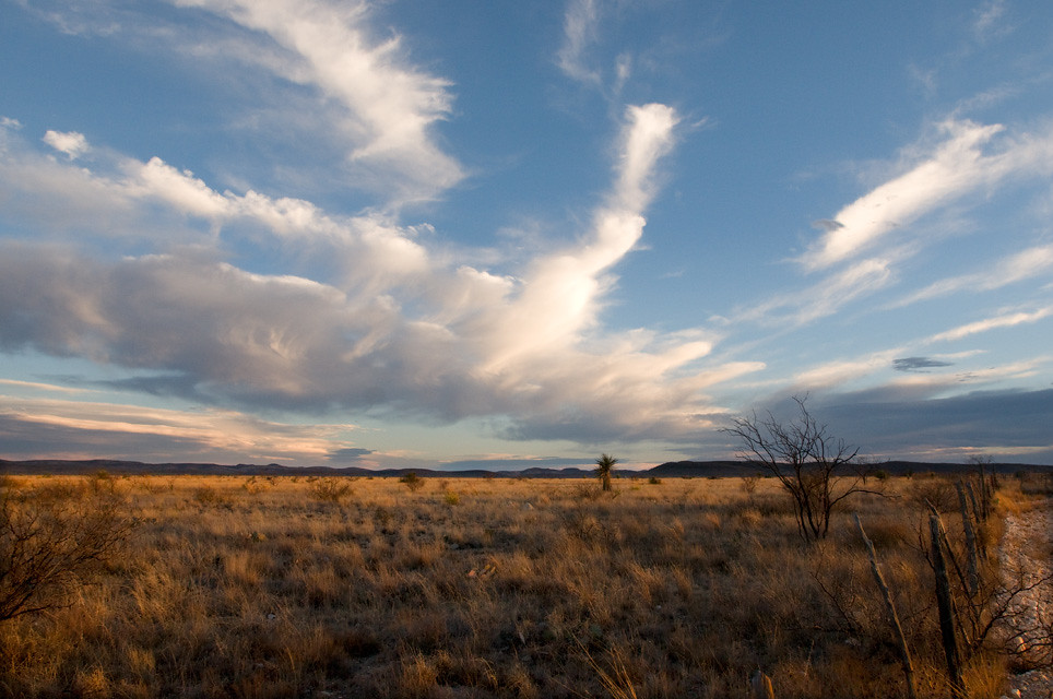Outskirts of Marathon, Texas Taken in the evening, looking… Flickr