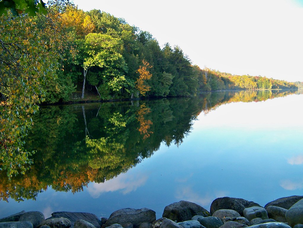Garland Pond Maine *Dandelion Flickr