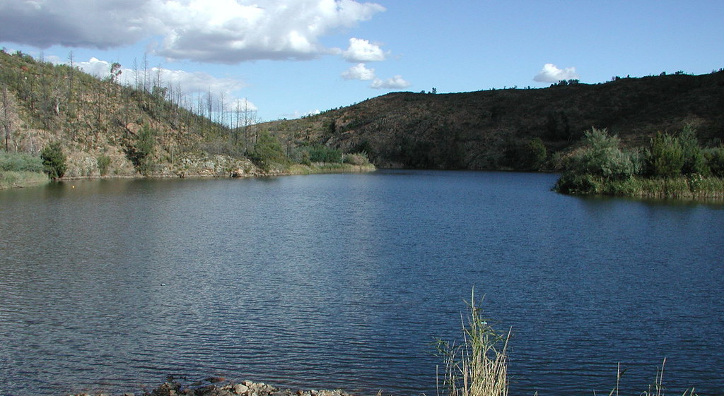 Cotter Dam reservoir ACT Forest New dam construction webca… Flickr