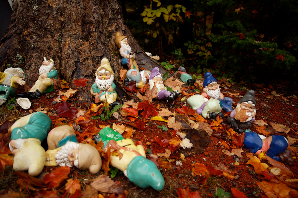 Garden Gnome Party the morning after. They're plastered… Joel