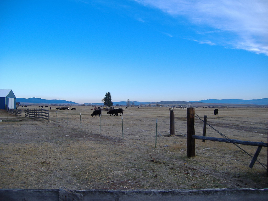 Baker County, Oregon Pastures near Haines, Baker County, O… Flickr