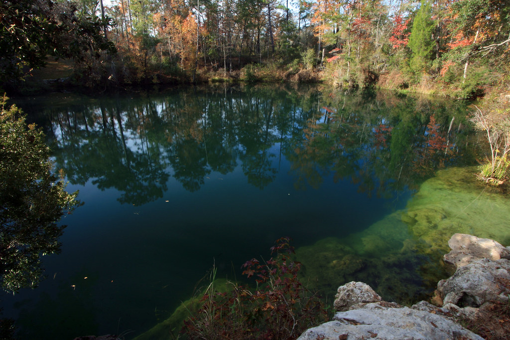 Cherokee Sink, Edward Ball Wakulla Springs State Park, Wakulla County