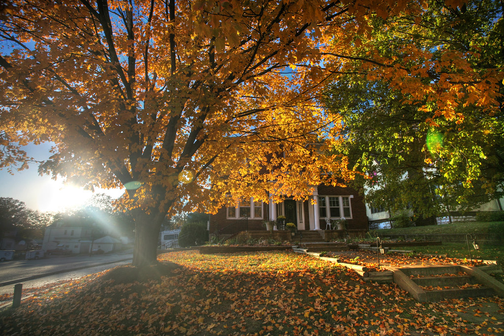 Cape Girardeau Fall 11.3.2207 Fall colors in Cape Girardea… Flickr