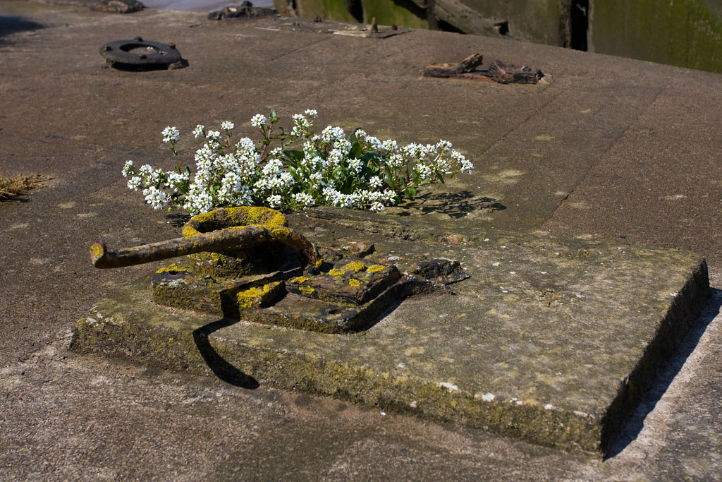 01 boat graveyard The Boat Graveyard at Purton, Glos. UK James Flickr