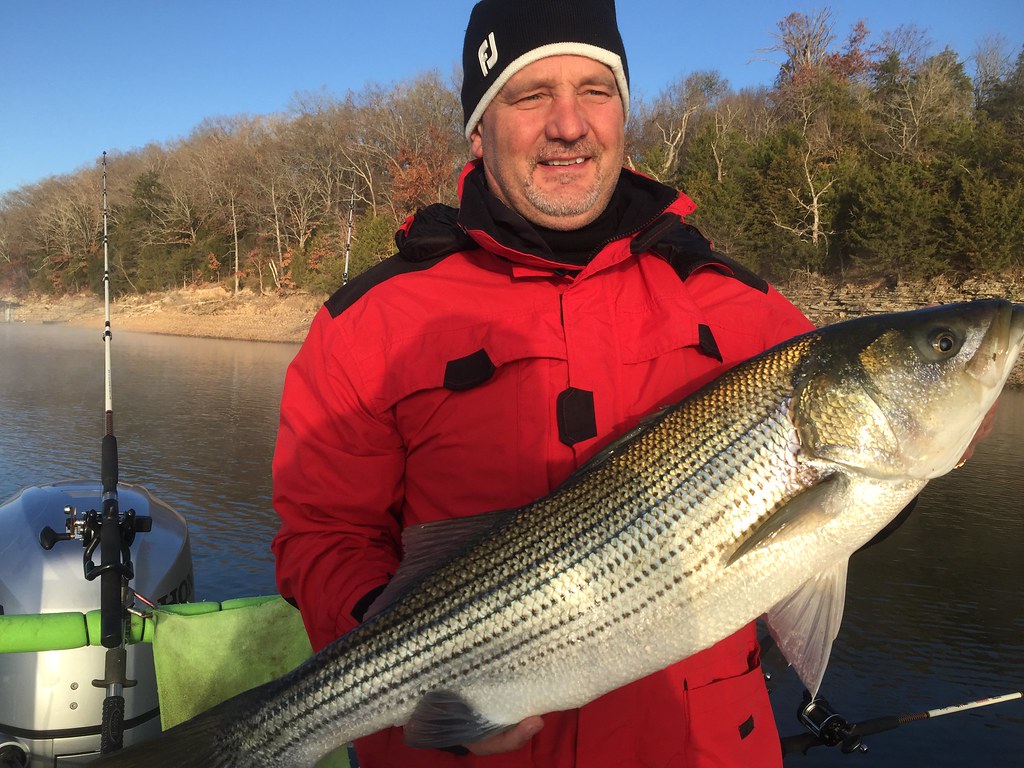 Beaver Lake Striper Fishing Guide Rogers Arkansas. Beaver,… Flickr