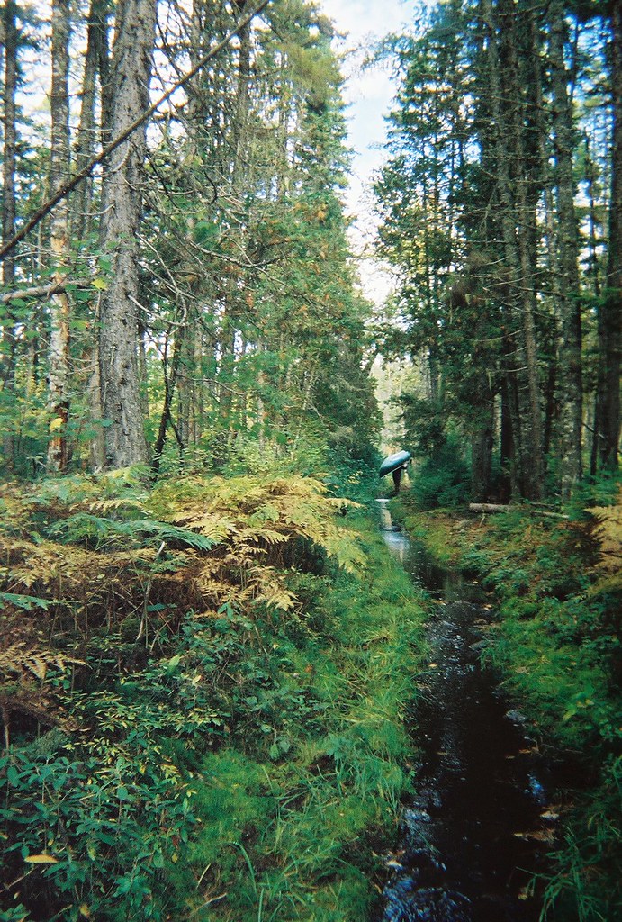 32_Mud Pond Carry, ME merganser07 Flickr