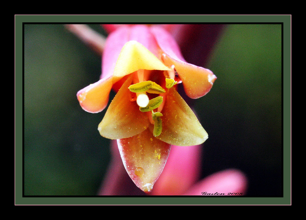 Elevation of Terra Bella, San Antonio, TX, USA Topographic Map