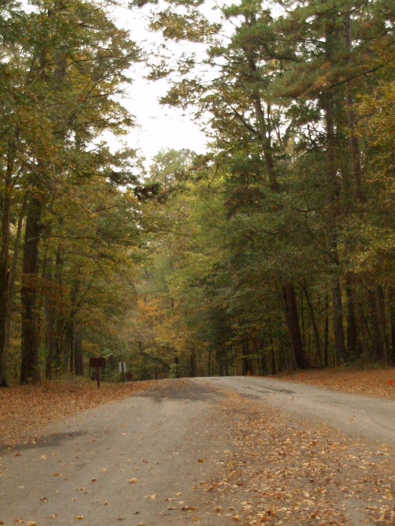 Davy Crockett National Forest Texas PB120234 Davy Crockett… Flickr