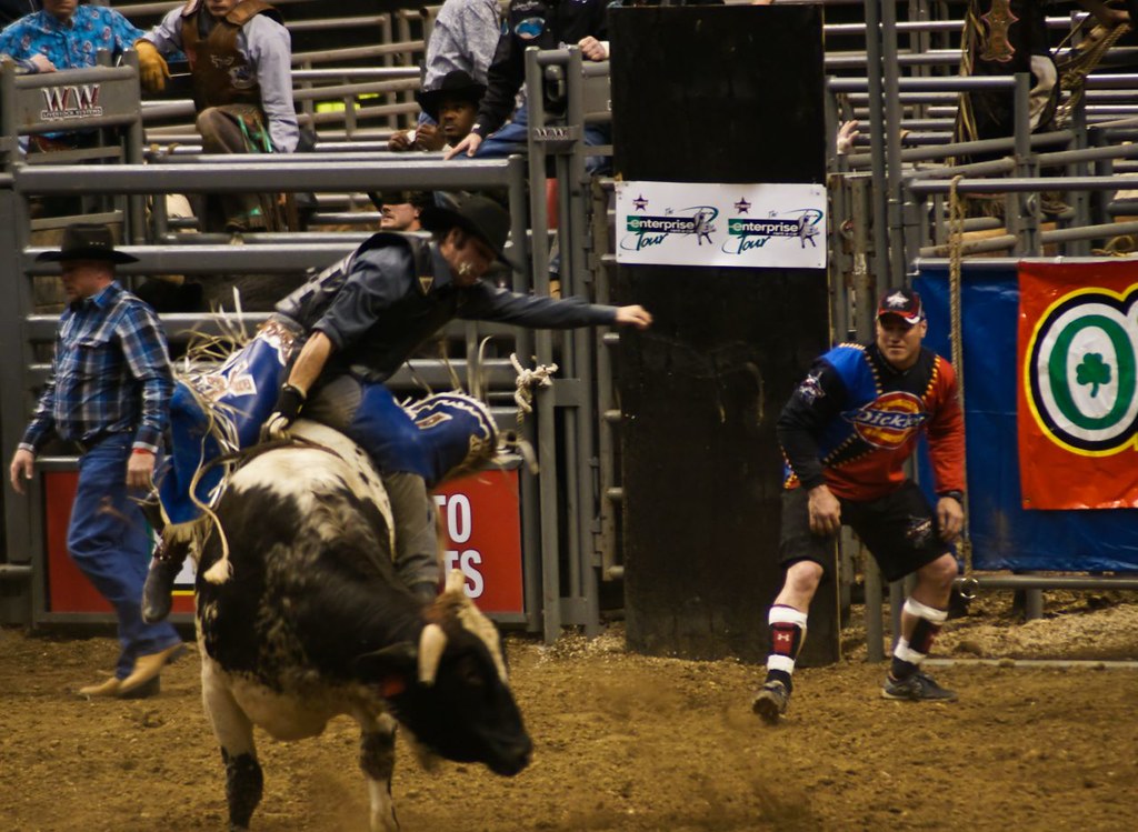 Professional Bull Riding (PBR), Indianapolis 2008 Paul J Everett Flickr