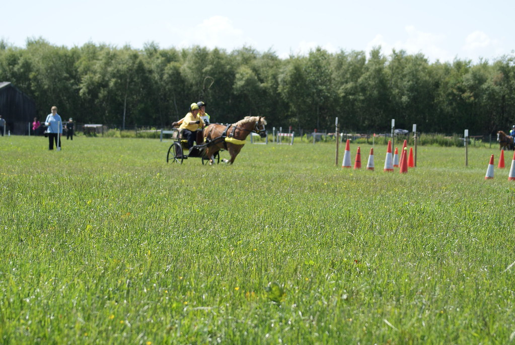 flowdons H D T 191 Dumfries and Galloway Horse Driving Club Flickr