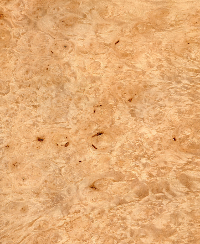 Maple BurlRotary Cut (3) a photo on Flickriver