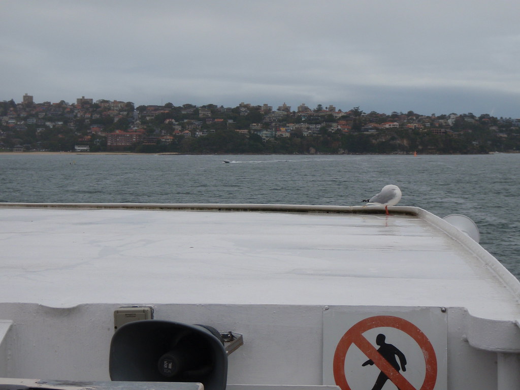 North Sydney Sydney Harbour "coffee" cruise skeldof Flickr