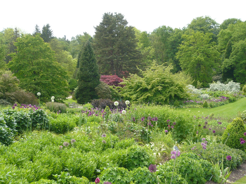 Flowers in May gardenerstips.co.uk/blog/ Brian Pettinger Flickr