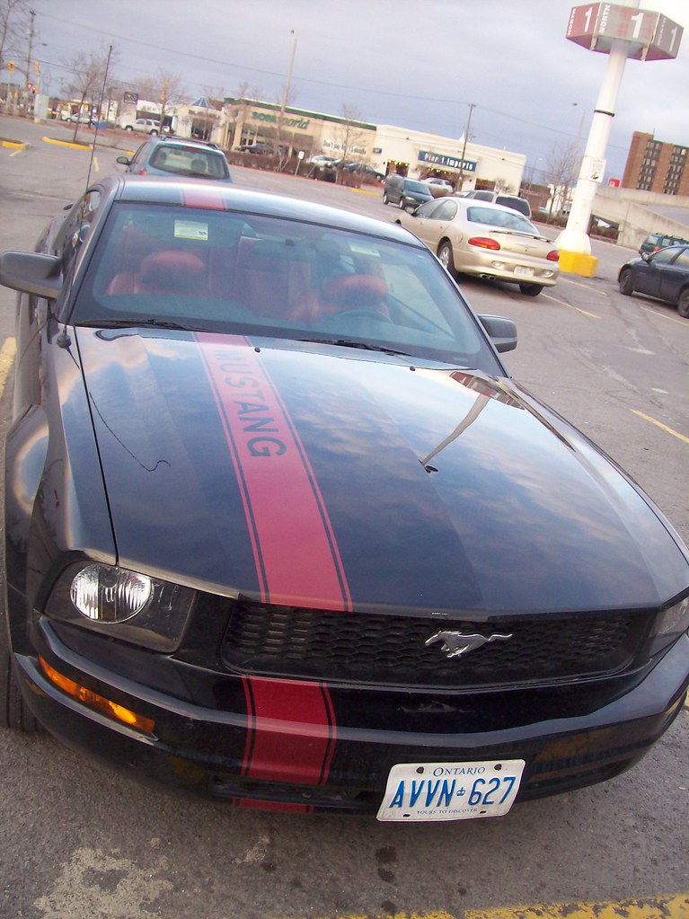 A black Ford Mustang with a red stripe. Looks badass in th… Flickr