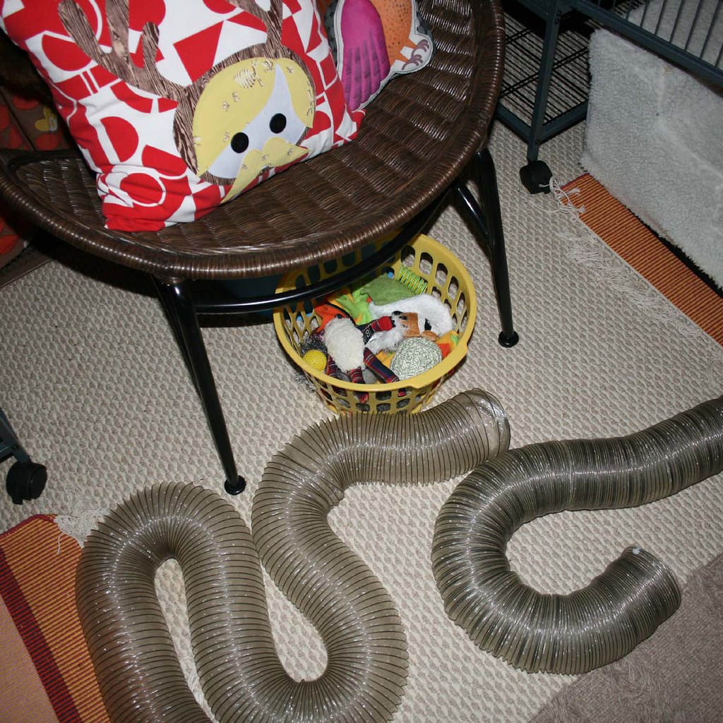 Ferret Toys and Tubes My ferrets love their "tubes." As we… Flickr