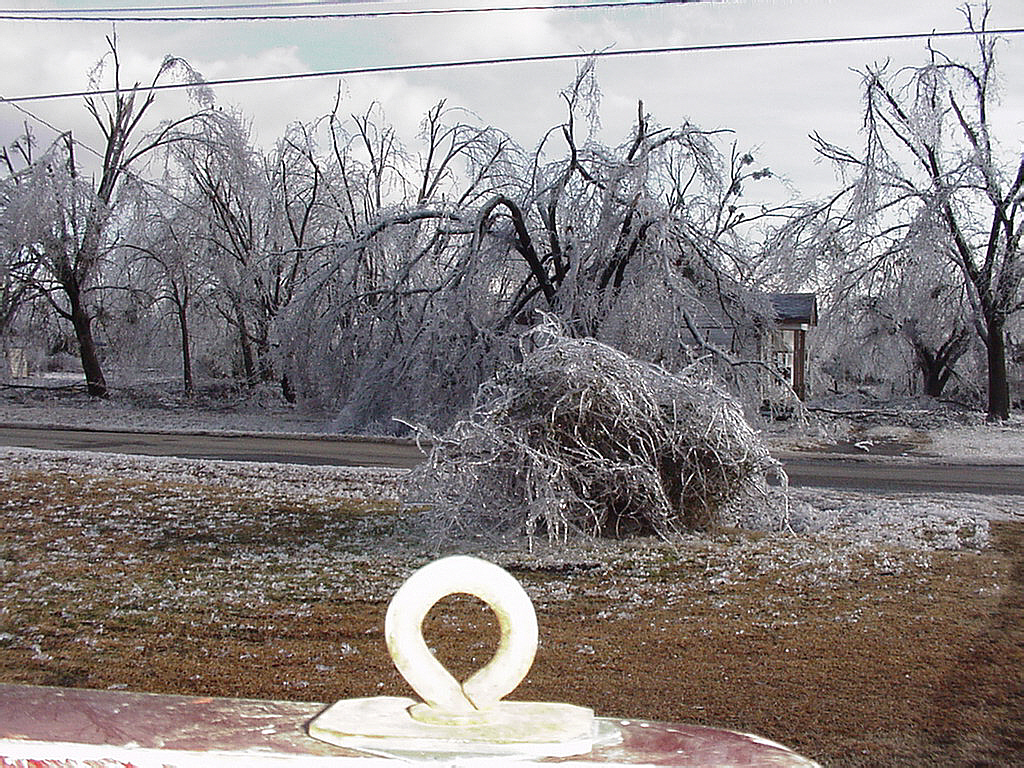 10 Quinton Oklahoma Icestorm122500 wiggyu2 Flickr